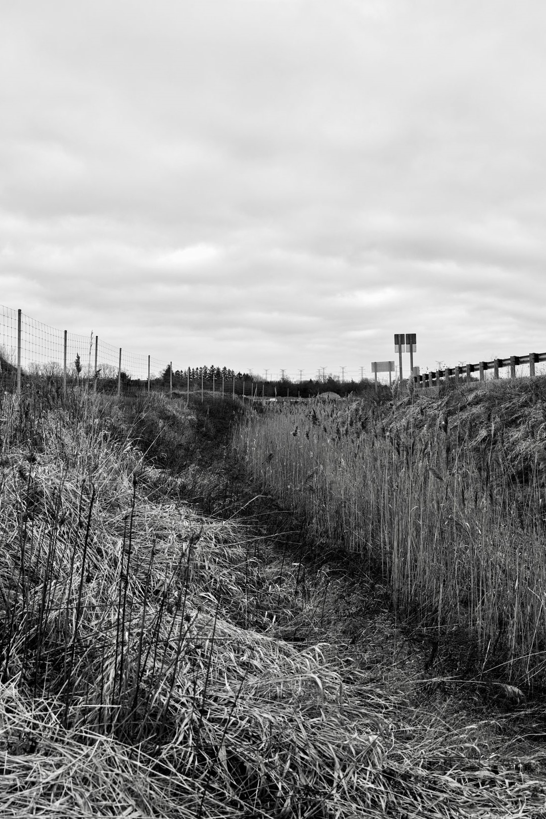 Ditch
